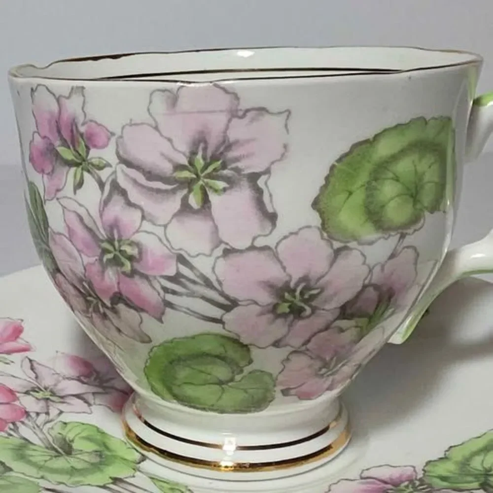Salisbury Teacup and Saucer Pink Geraniums Vintage